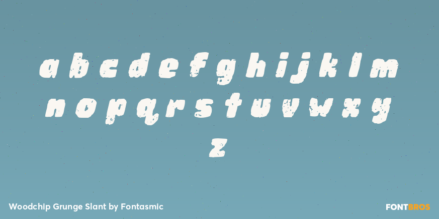 Woodchip Grunge Slant Font Poster #3