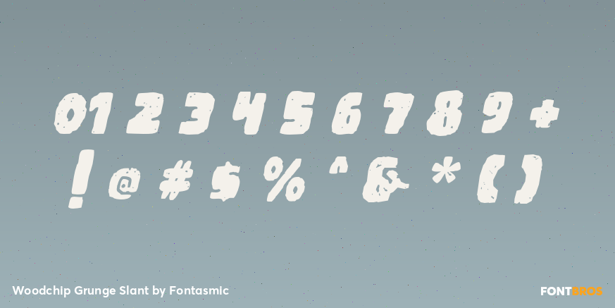 Woodchip Grunge Slant Font Poster #4