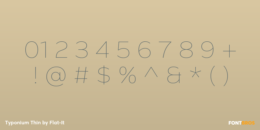 Typonium Thin Font Poster #4