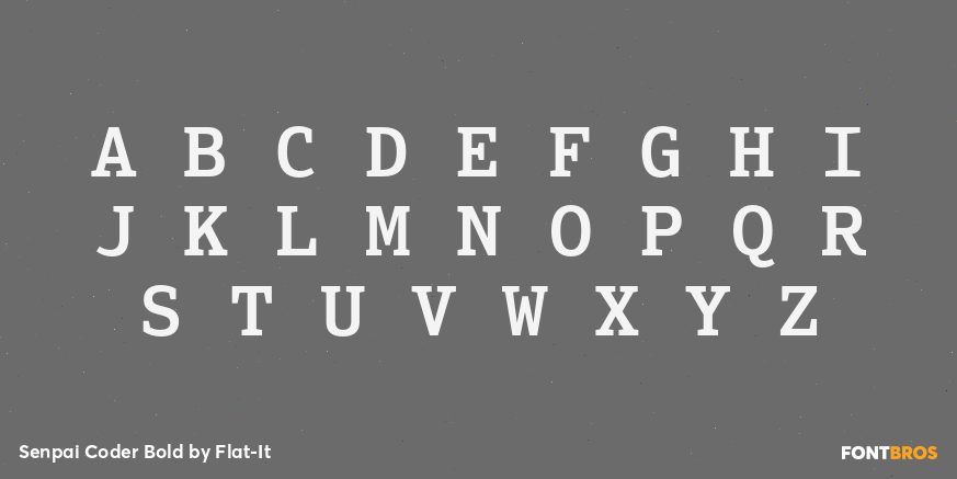 Senpai Coder Bold Font Poster #2