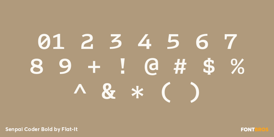 Senpai Coder Bold Font Poster #4
