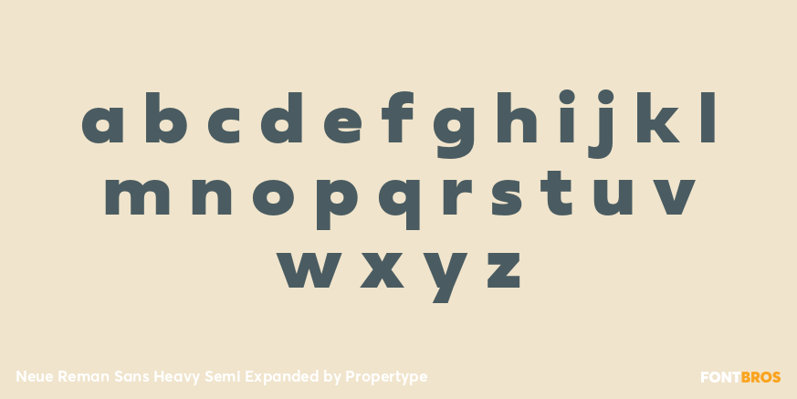 Neue Reman Sans Heavy Semi Expanded Font Poster #3