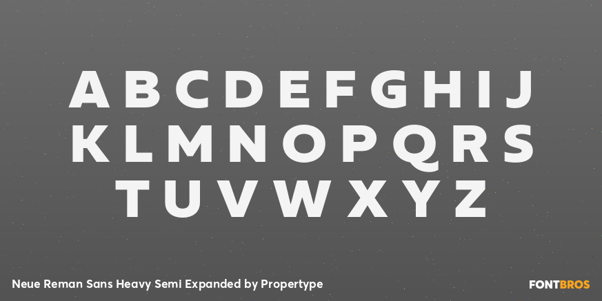 Neue Reman Sans Heavy Semi Expanded Font Poster #2