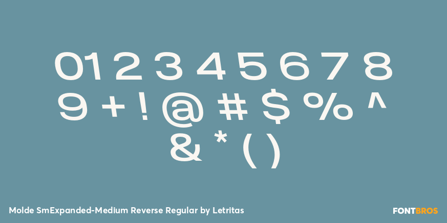 Molde SmExpanded-Medium Reverse Regular Font Poster #4