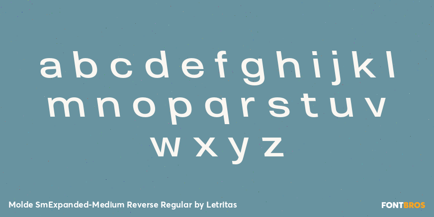 Molde SmExpanded-Medium Reverse Regular Font Poster #3