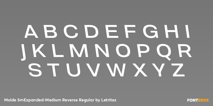 Molde SmExpanded-Medium Reverse Regular Font Poster #2