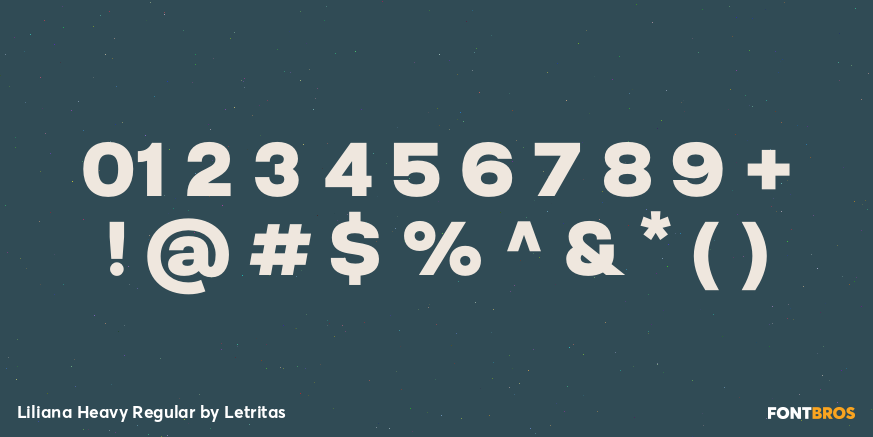 Liliana Heavy Regular Font Poster #4