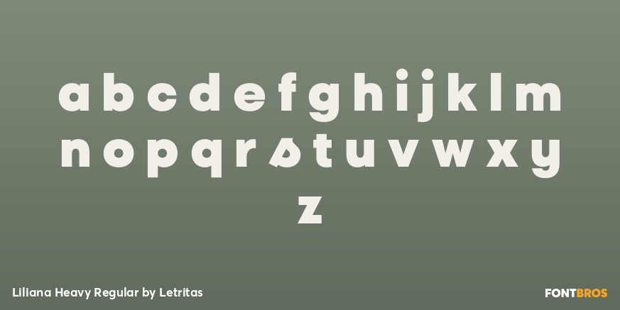 Liliana Heavy Regular Font Poster #3