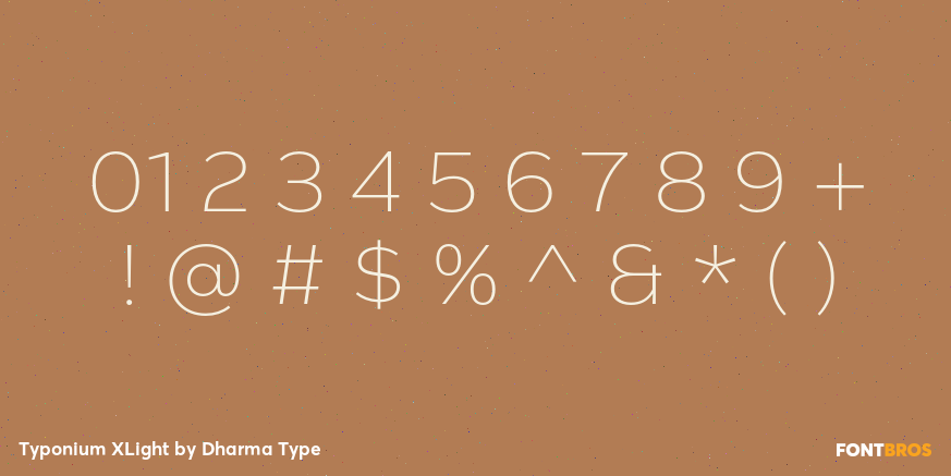 Typonium XLight Font Poster #4