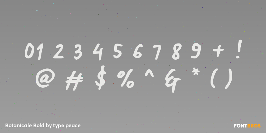 Botanicale Bold Font Poster #4