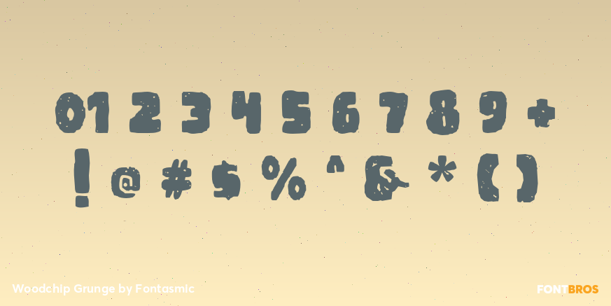 Woodchip Grunge Font Poster #1