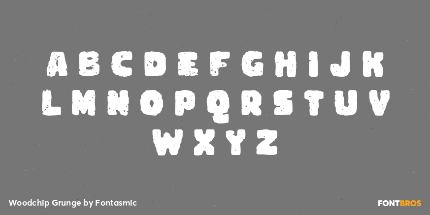 Woodchip Grunge Font Poster #2