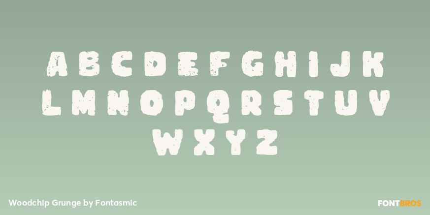 Woodchip Grunge Font Poster #1