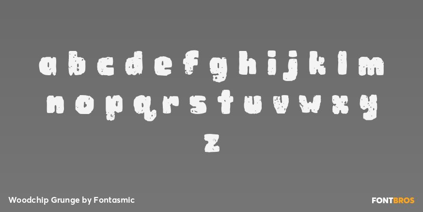 Woodchip Grunge Font Poster #1