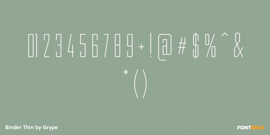 Binder Thin Font Poster #4