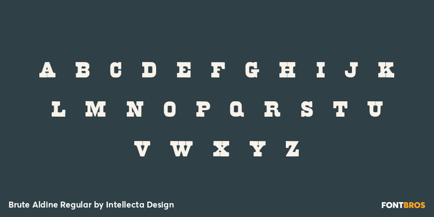 Brute Aldine Regular Font Poster #3