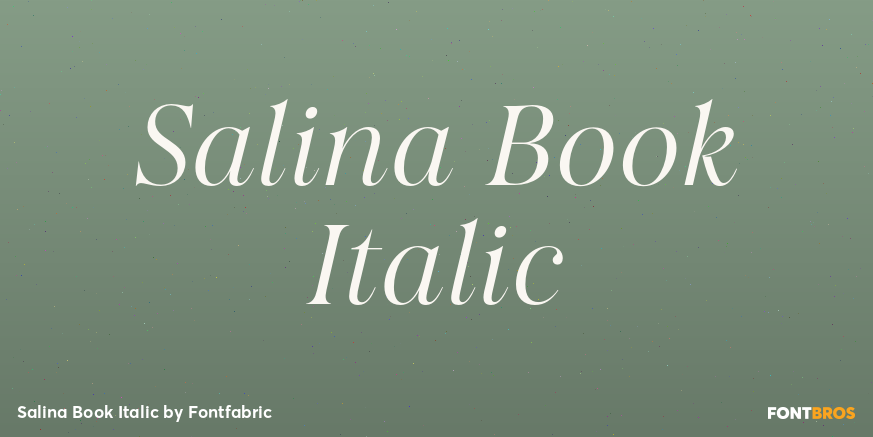 Salina Book Italic Poster