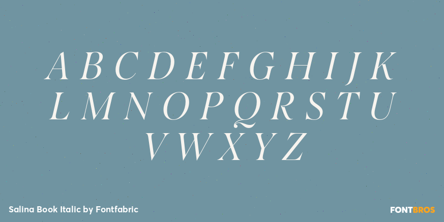 Salina Book Italic Font Poster #2