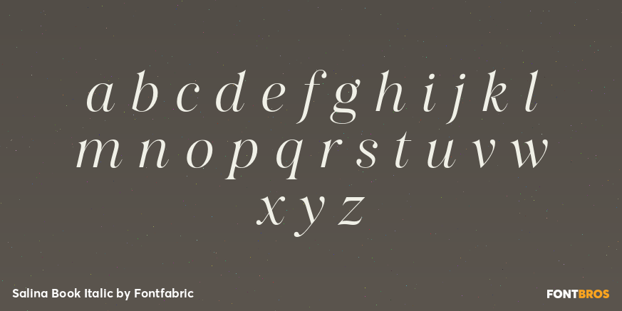 Salina Book Italic Font Poster #3