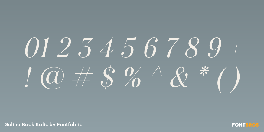 Salina Book Italic Font Poster #4