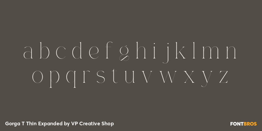 Gorga T Thin Expanded Font Poster #3