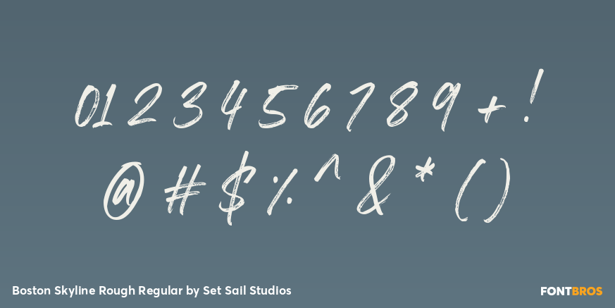 Boston Skyline Rough Regular Font Poster #4