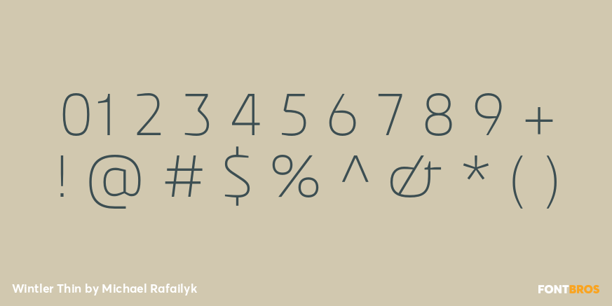 Wintler Thin Font Poster #1