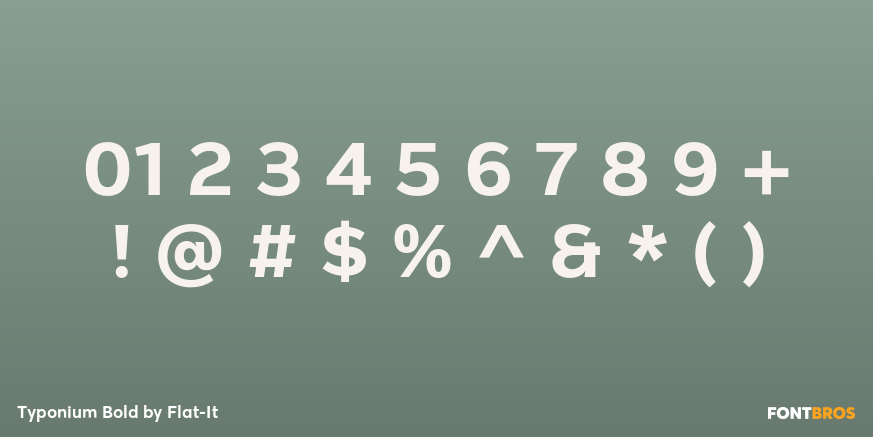 Typonium Bold Font Poster #4