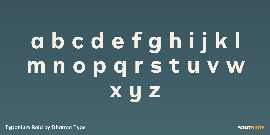 Typonium Bold Font Poster #3