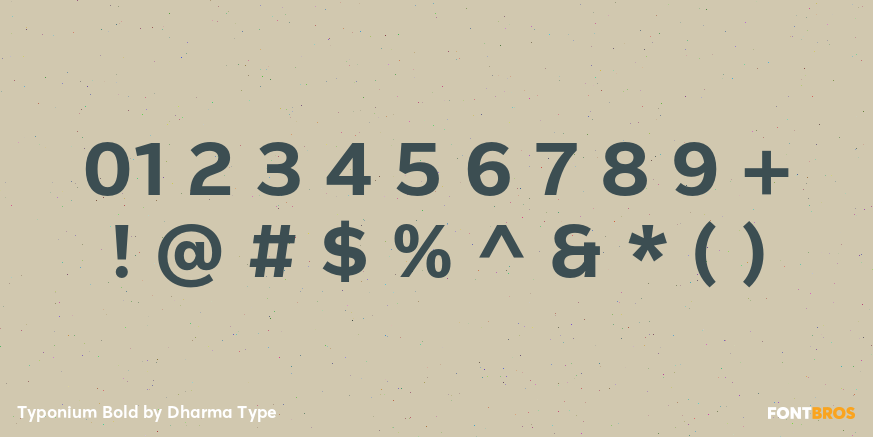 Typonium Bold Font Poster #4