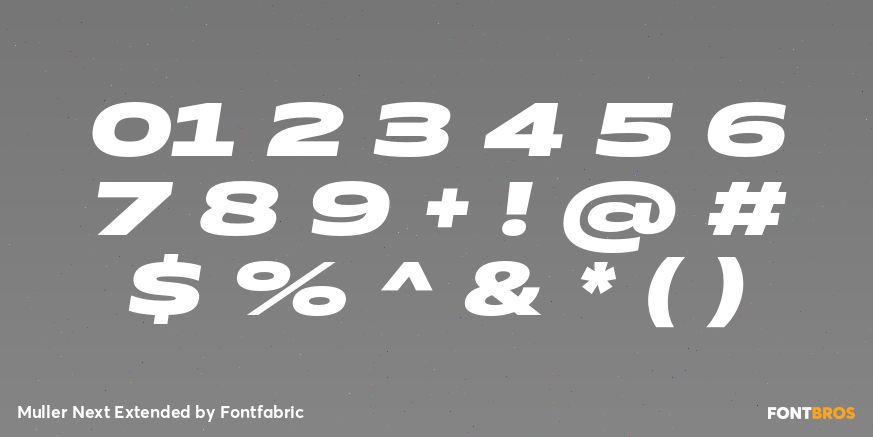 Muller Next Extended Font Poster #4