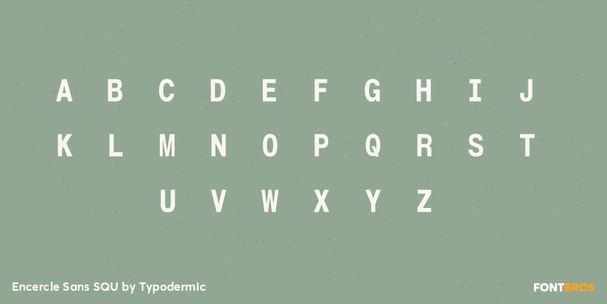Encercle Sans SQU Font Poster #1
