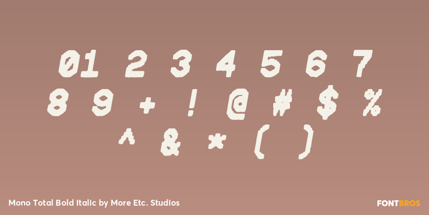Mono Total Bold Italic Font Poster #1