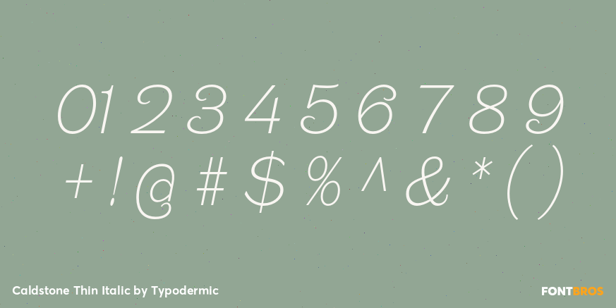 Caldstone Thin Italic Font Poster #4