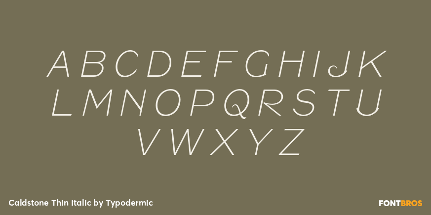 Caldstone Thin Italic Font Poster #2