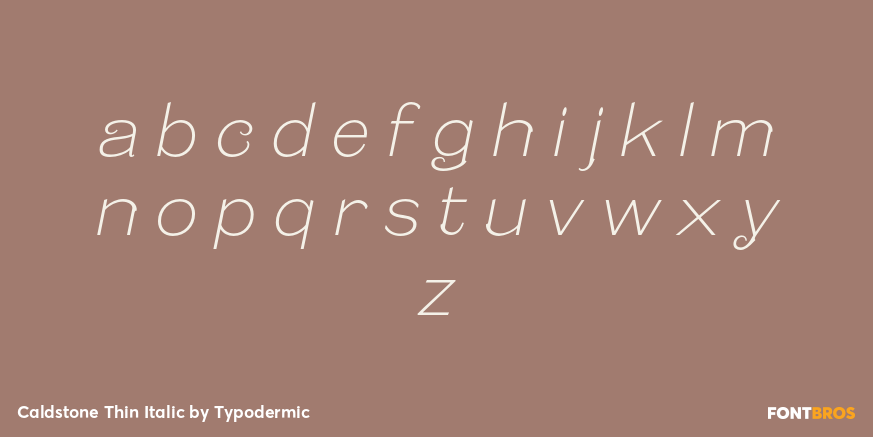 Caldstone Thin Italic Font Poster #3