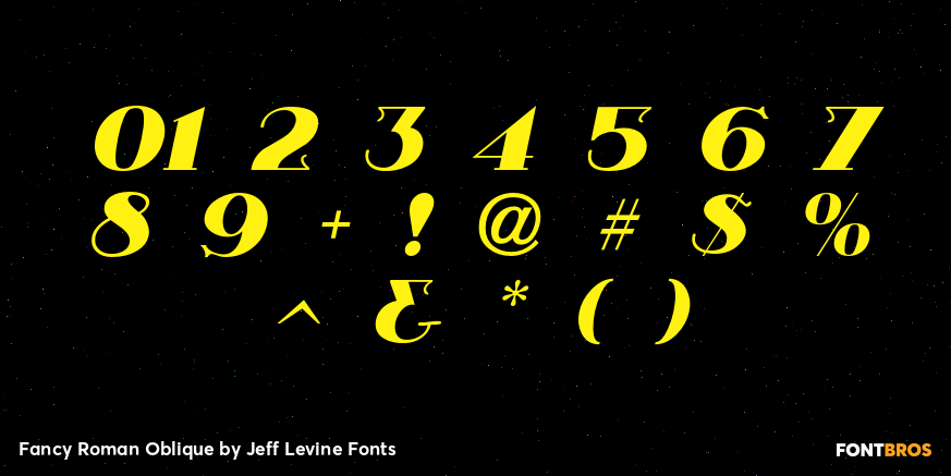 Fancy Roman Oblique Font Poster #4