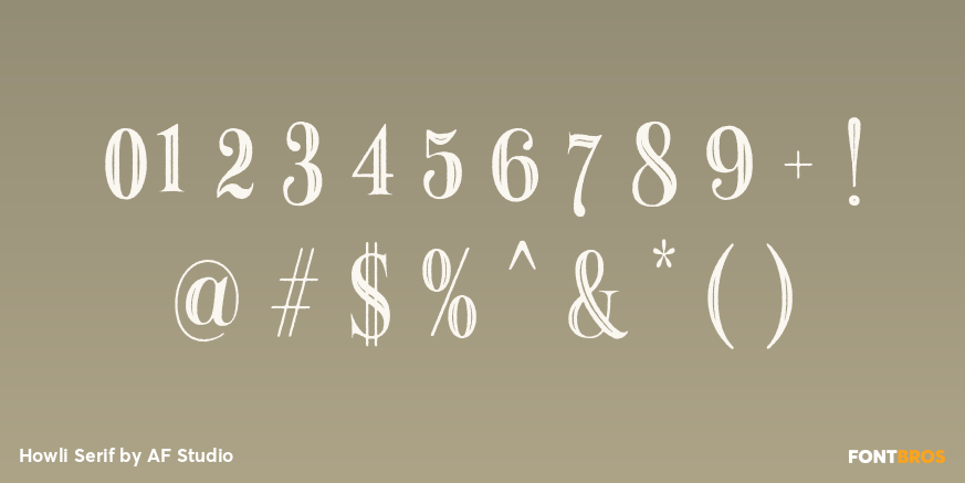 Howli Serif Font Poster #1