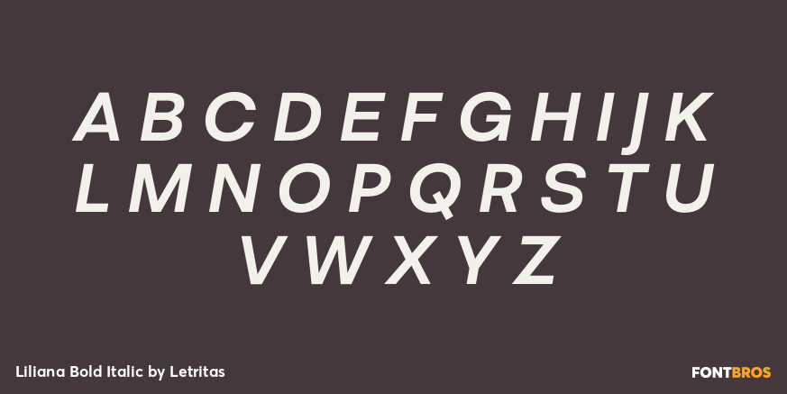 Liliana Bold Italic Font Poster #2