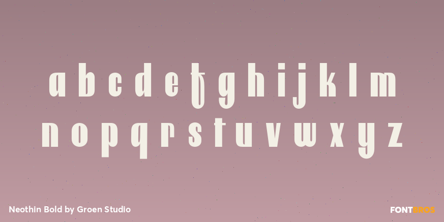 Neothin Bold Font Poster #3