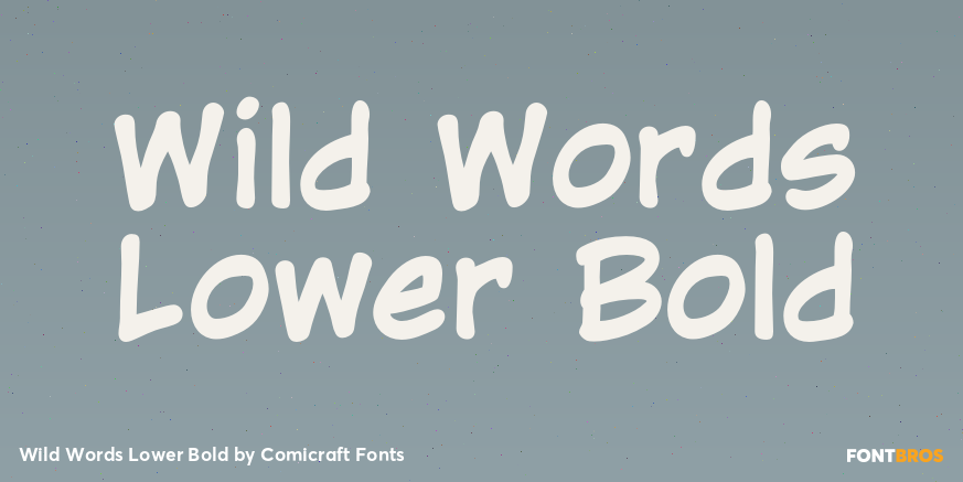 Wild Words Lower Bold Font Poster #1