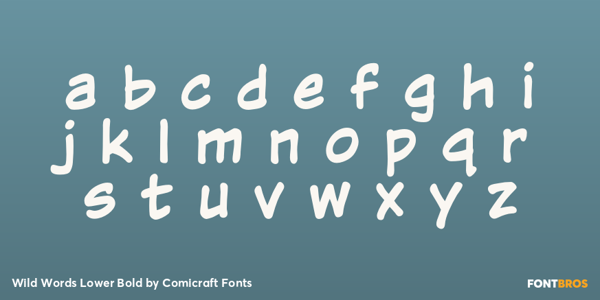 Wild Words Lower Bold Font Poster #3