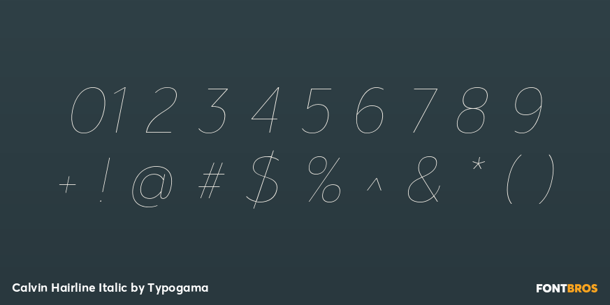 Calvin Hairline Italic Font Poster #4