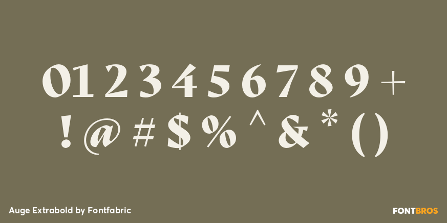 Auge Extrabold Font Poster #4