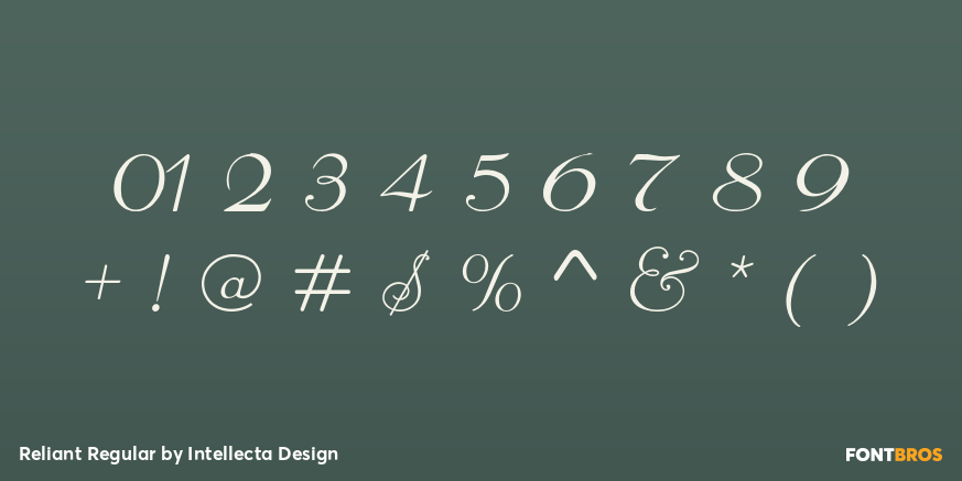 Reliant Regular Font Poster #4