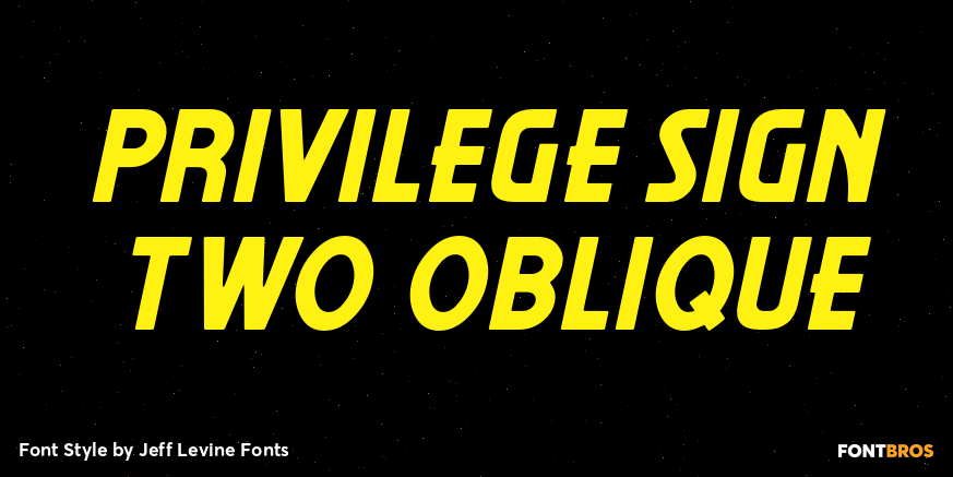 Privilege Sign Two Oblique Poster