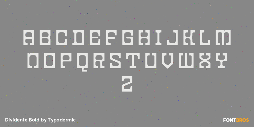 Dividente Bold Font Poster #2