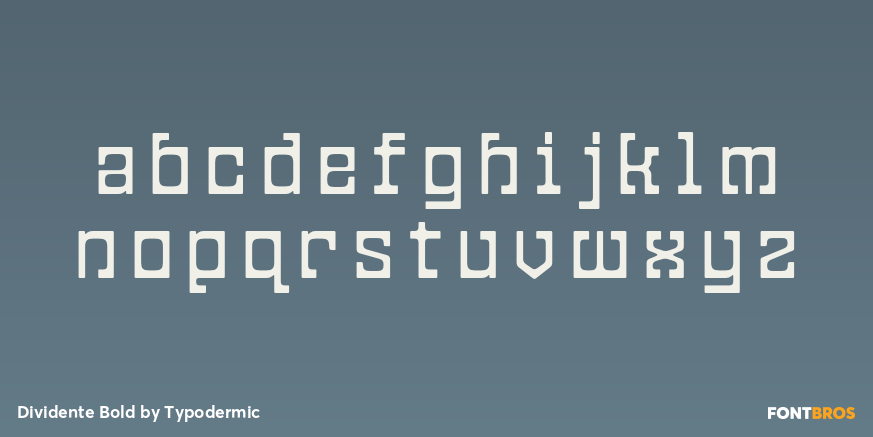 Dividente Bold Font Poster #3