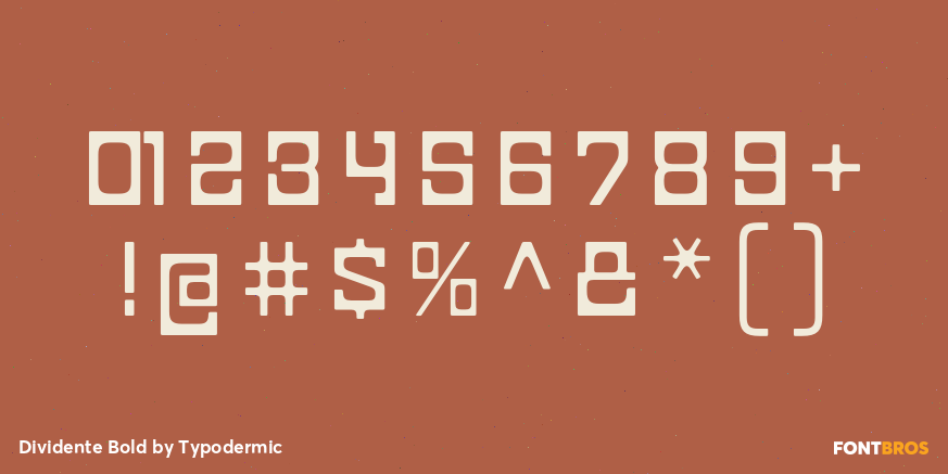 Dividente Bold Font Poster #4