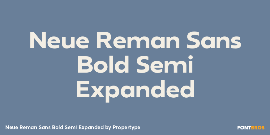 Neue Reman Sans Bold Semi Expanded Font Poster #1